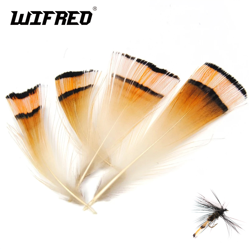 Fishing Equipment Brands - كتيفة رأس الدراج الذهبية ، 50